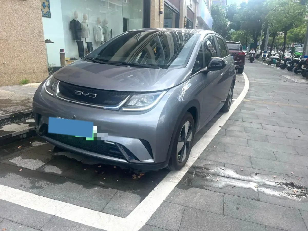 2023 BYD Dolphin BEV 44.928KWH