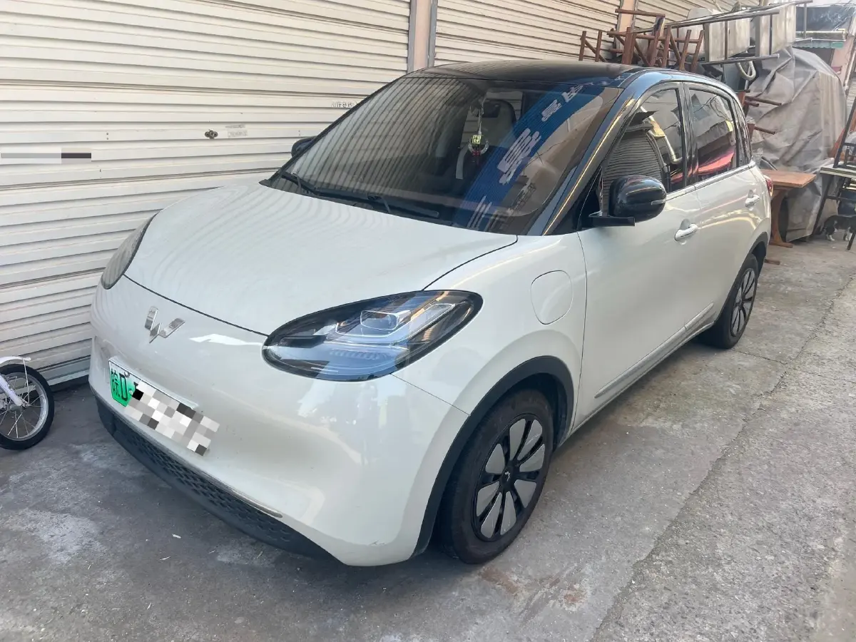 2023 WuLing BinGuo BEV 31.9KWH