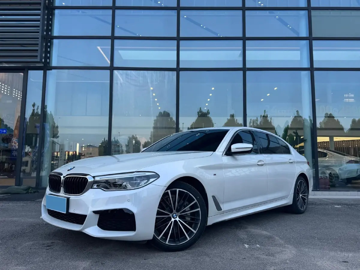 2020 BMW 5 Series 2.0T 252HP L4 8AT