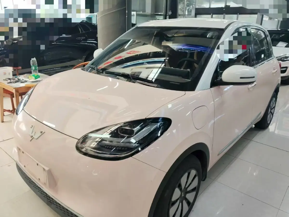 2023 WuLing BinGuo BEV 37.9KWH