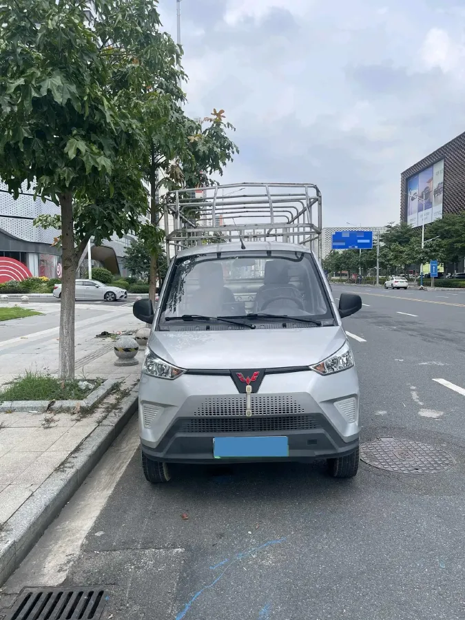 2021 WuLing Electric Truck BEV 41.86KWH,autocango,china used car exporter,china ev exporter,chinese used car exporter,chinese used ev exporter