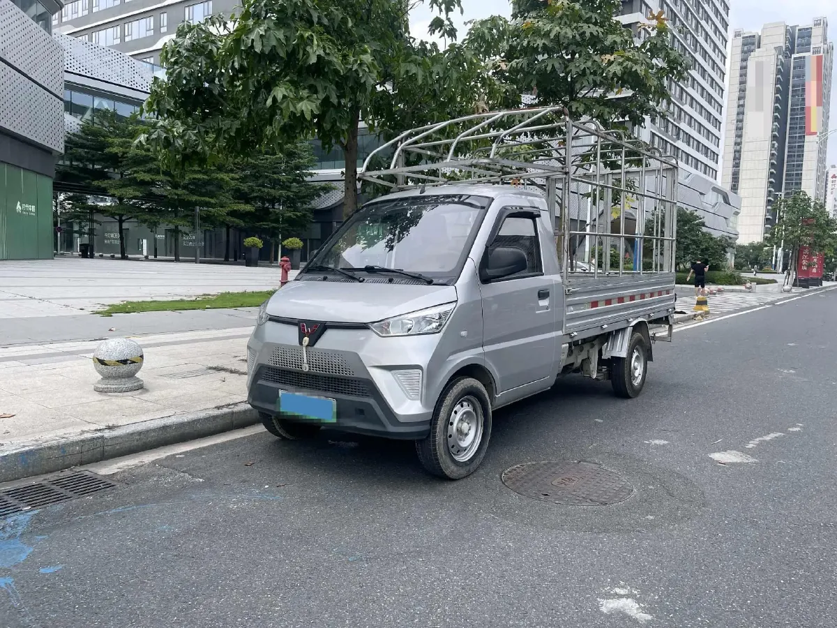 2021 WuLing Electric Truck BEV 41.86KWH,autocango,china used car exporter,china ev exporter,chinese used car exporter,chinese used ev exporter