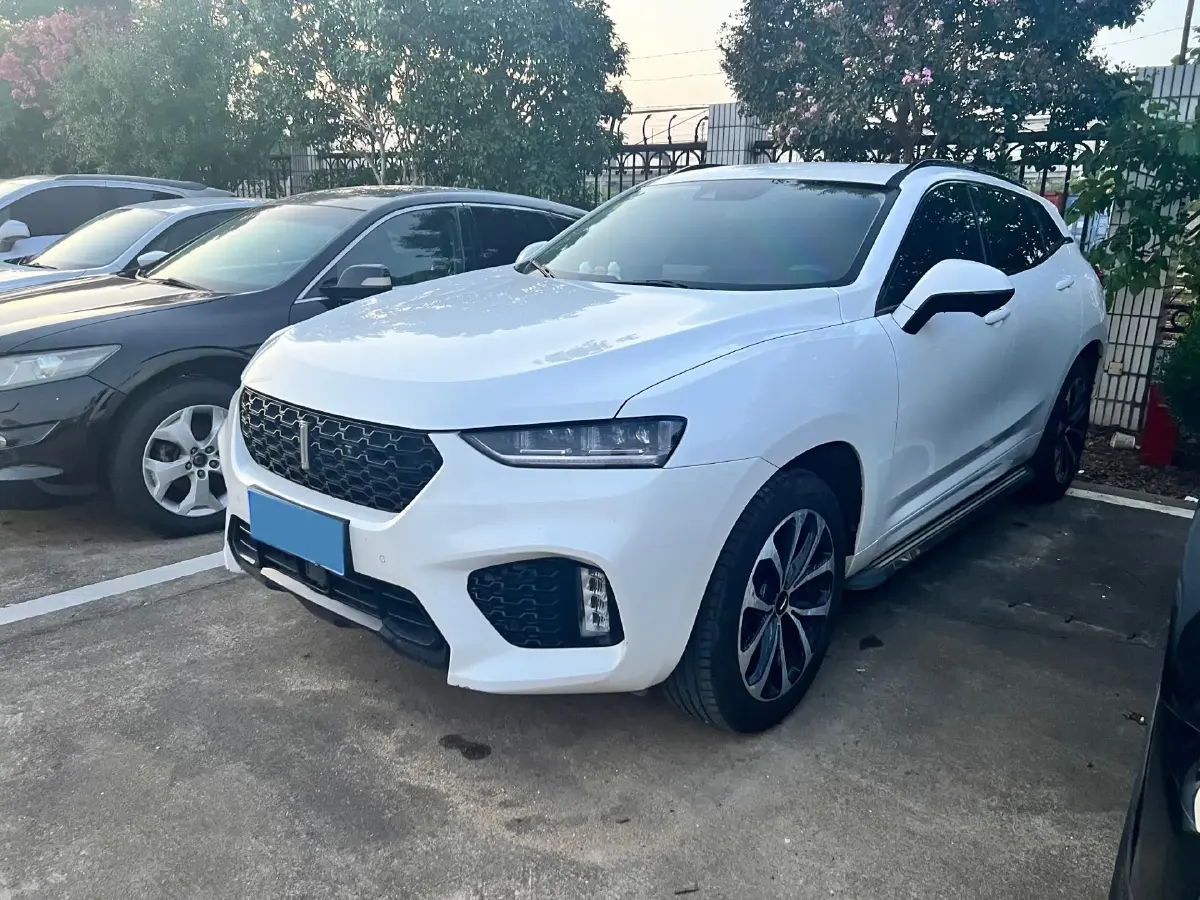 2019 WEY VV7 2.0T 234HP L4 7DCT