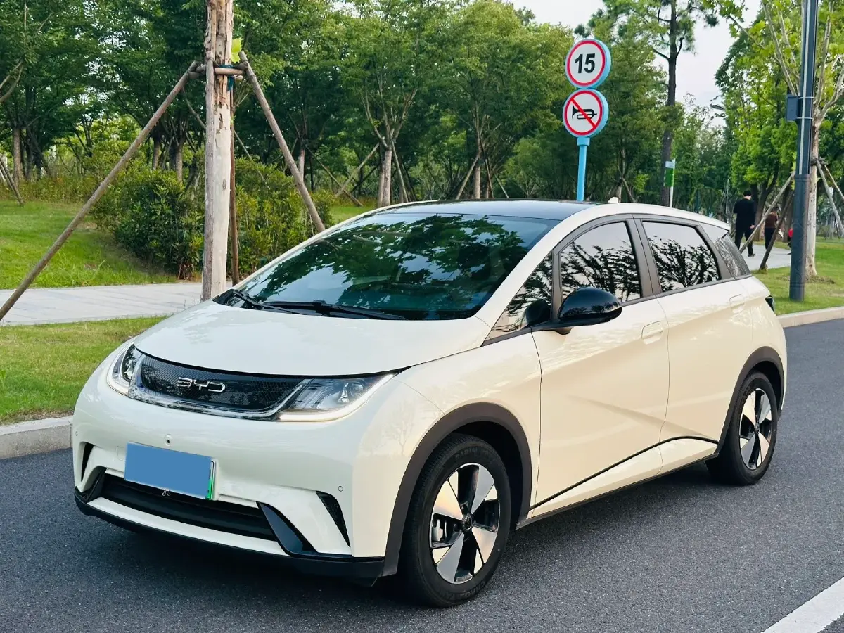 2023 BYD Dolphin BEV 44.928KWH