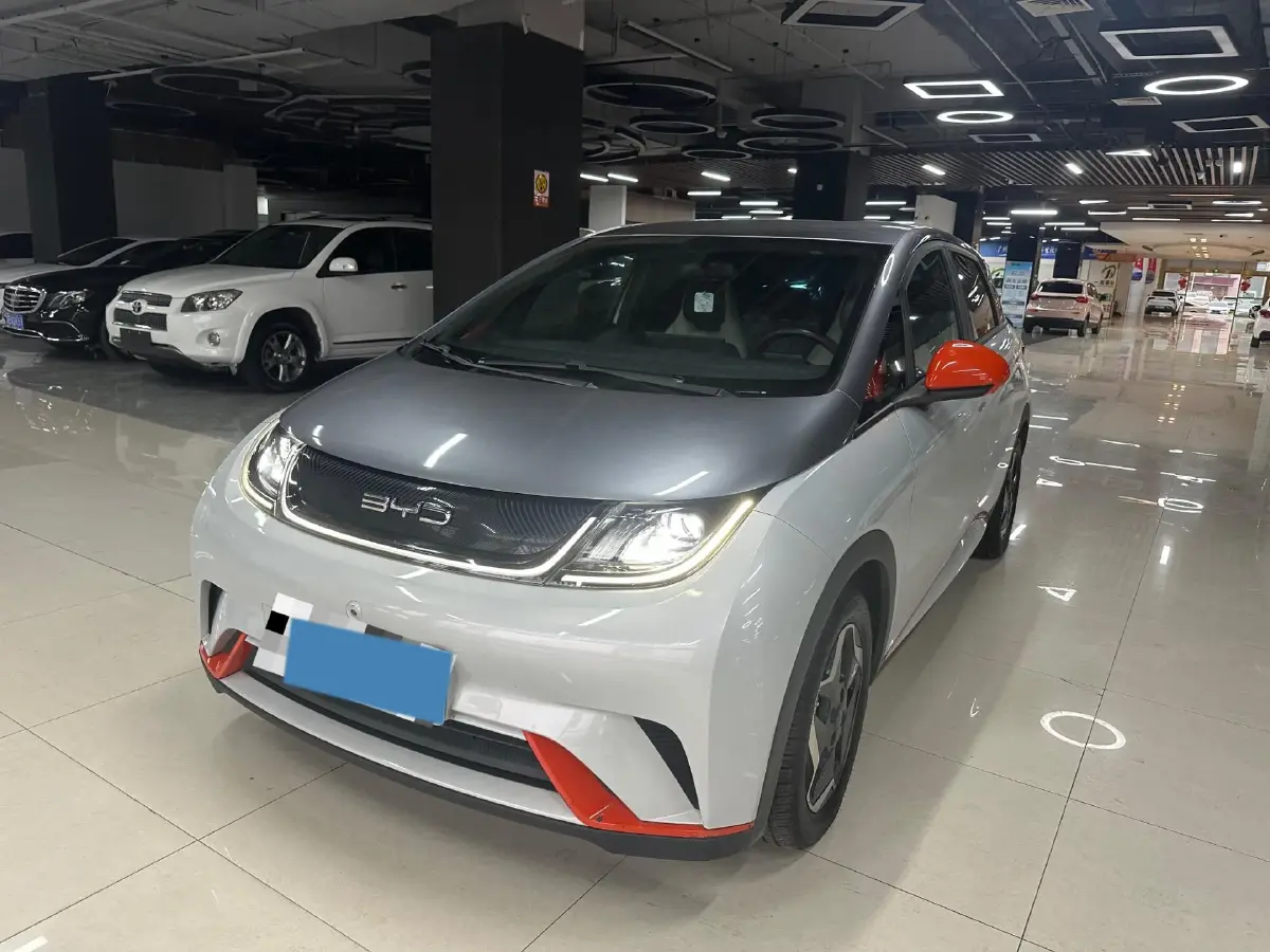 2021 BYD Dolphin BEV 44.9KWH