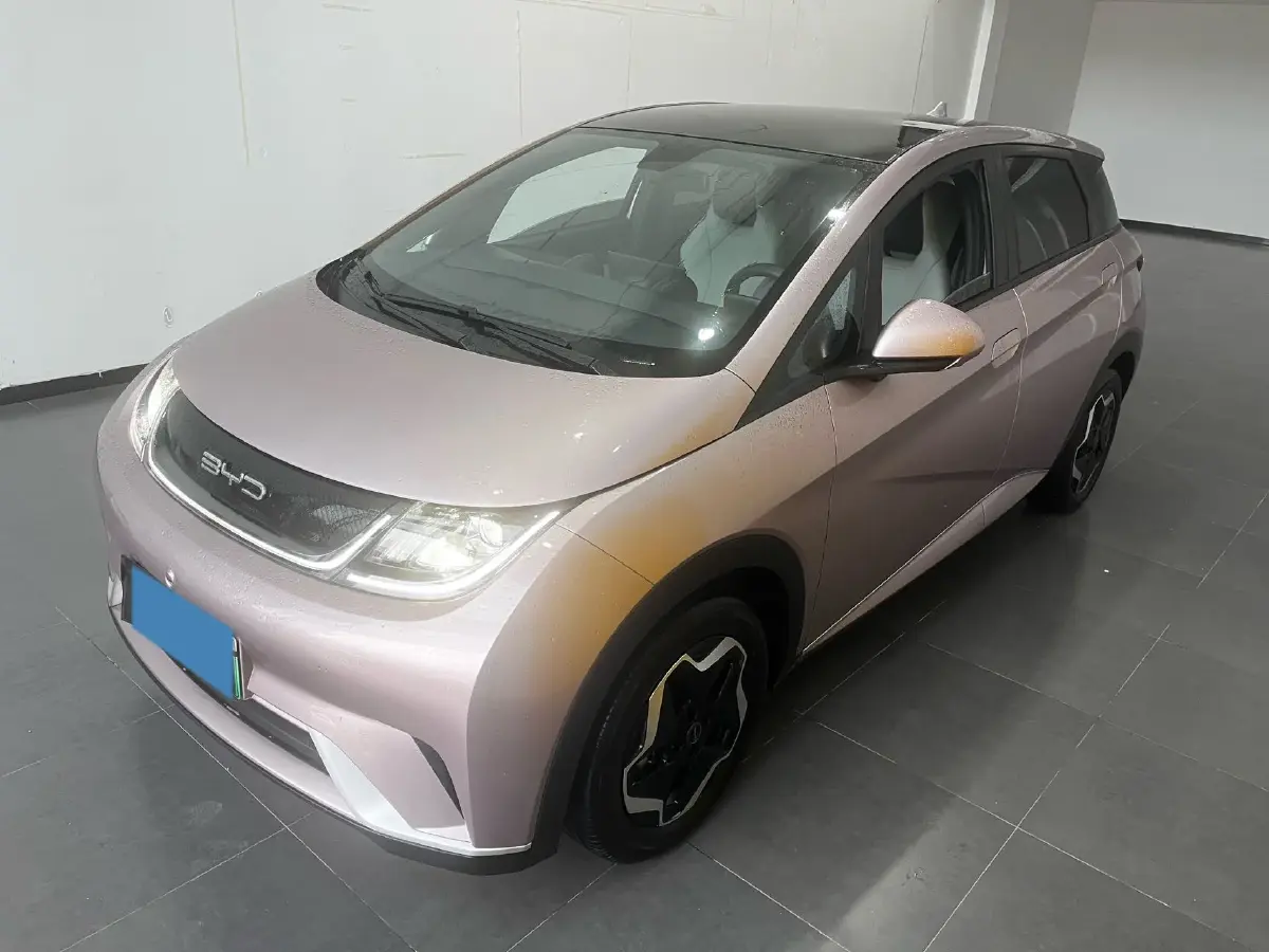 2021 BYD Dolphin BEV 44.9KWH