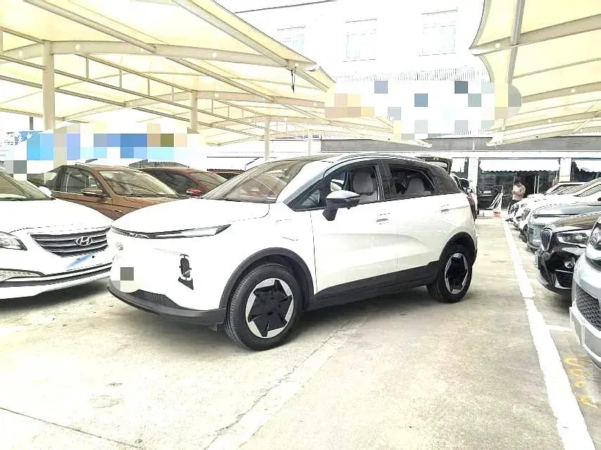 2024 Geometry E BEV 29.67KWH