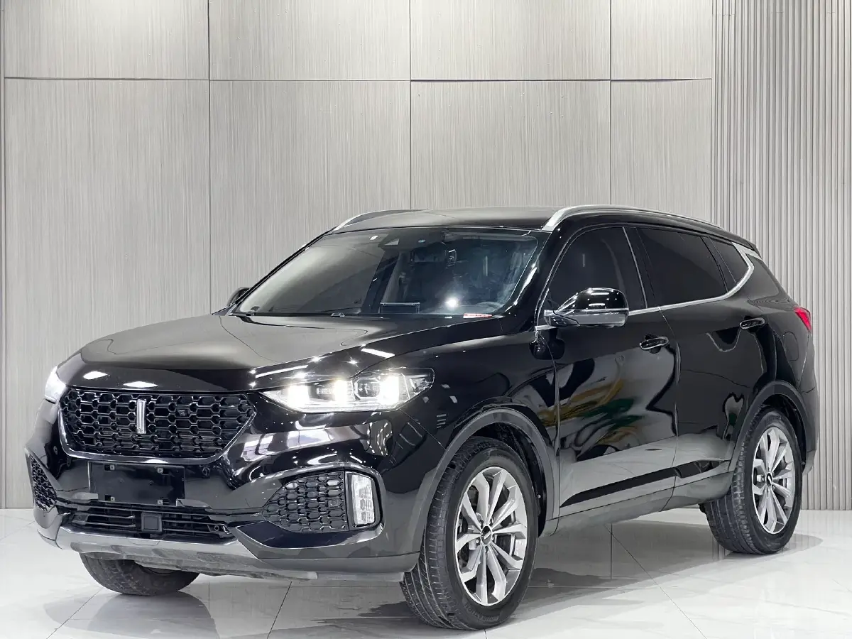 2019 WEY VV6 2.0T 224HP L4 7DCT