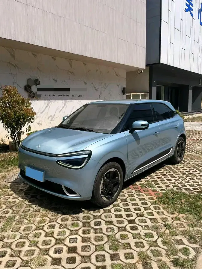 2024 DongFeng Nammi 01 BEV 42.3KWH