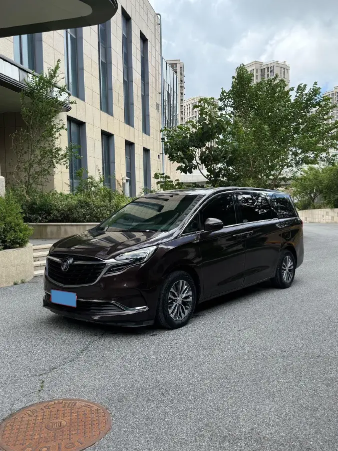 2020 Buick GL8 2.0T 237HP L4 9AT