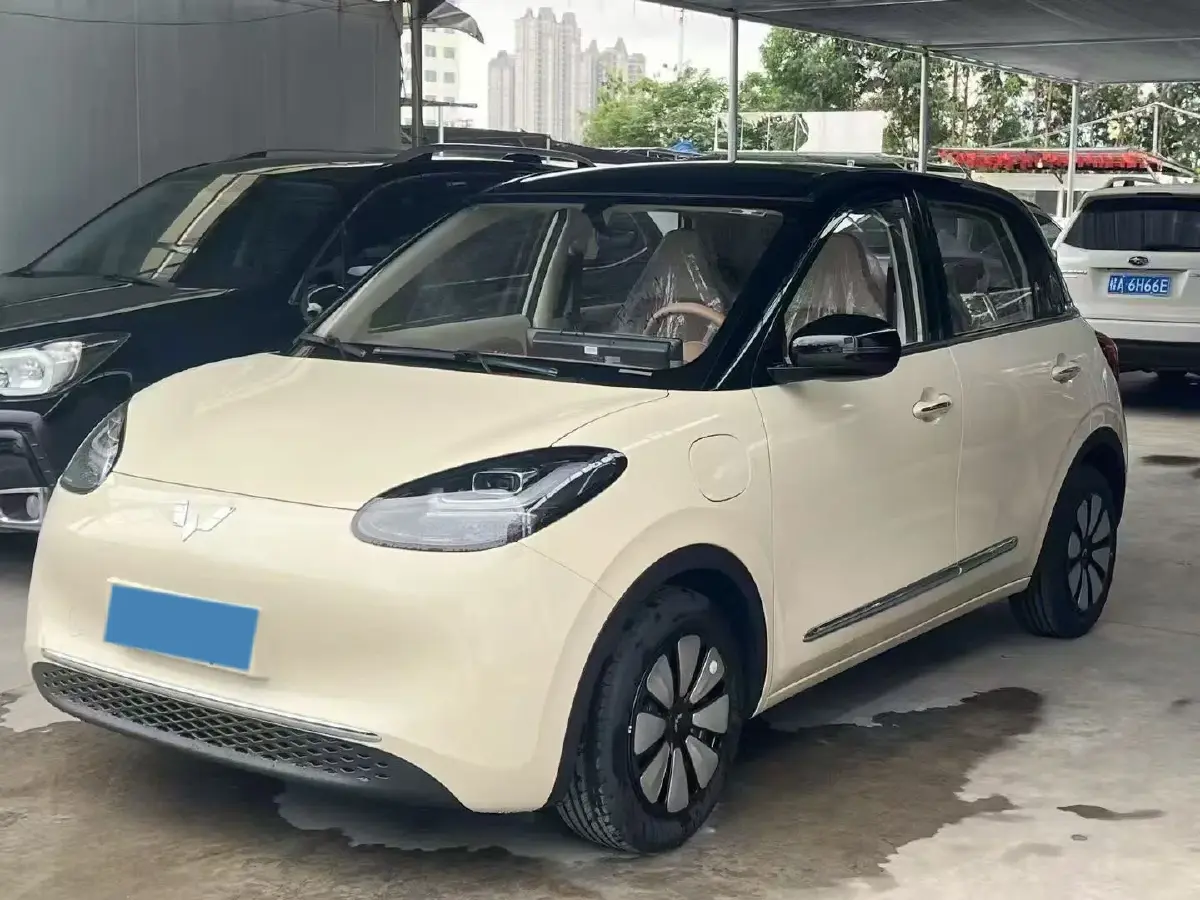 2025 WuLing BinGuo BEV