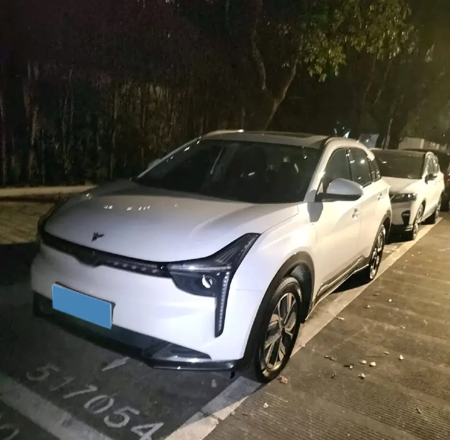 2022 Neta U BEV 55.8KWH