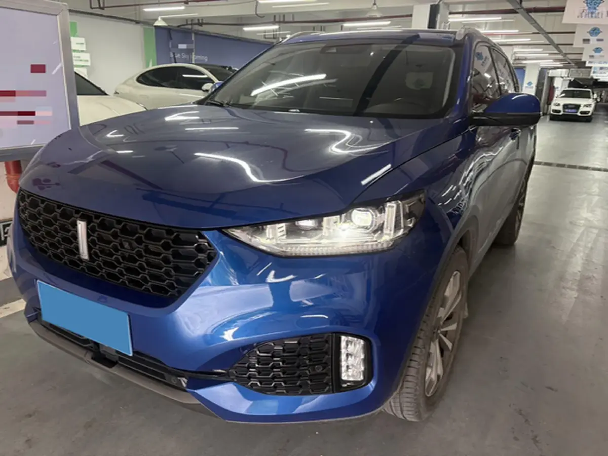 2018 WEY VV6 2.0T 197HP L4 7DCT