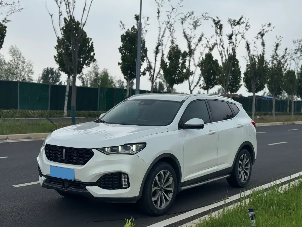 2019 WEY VV6 2.0T 224HP L4 7DCT