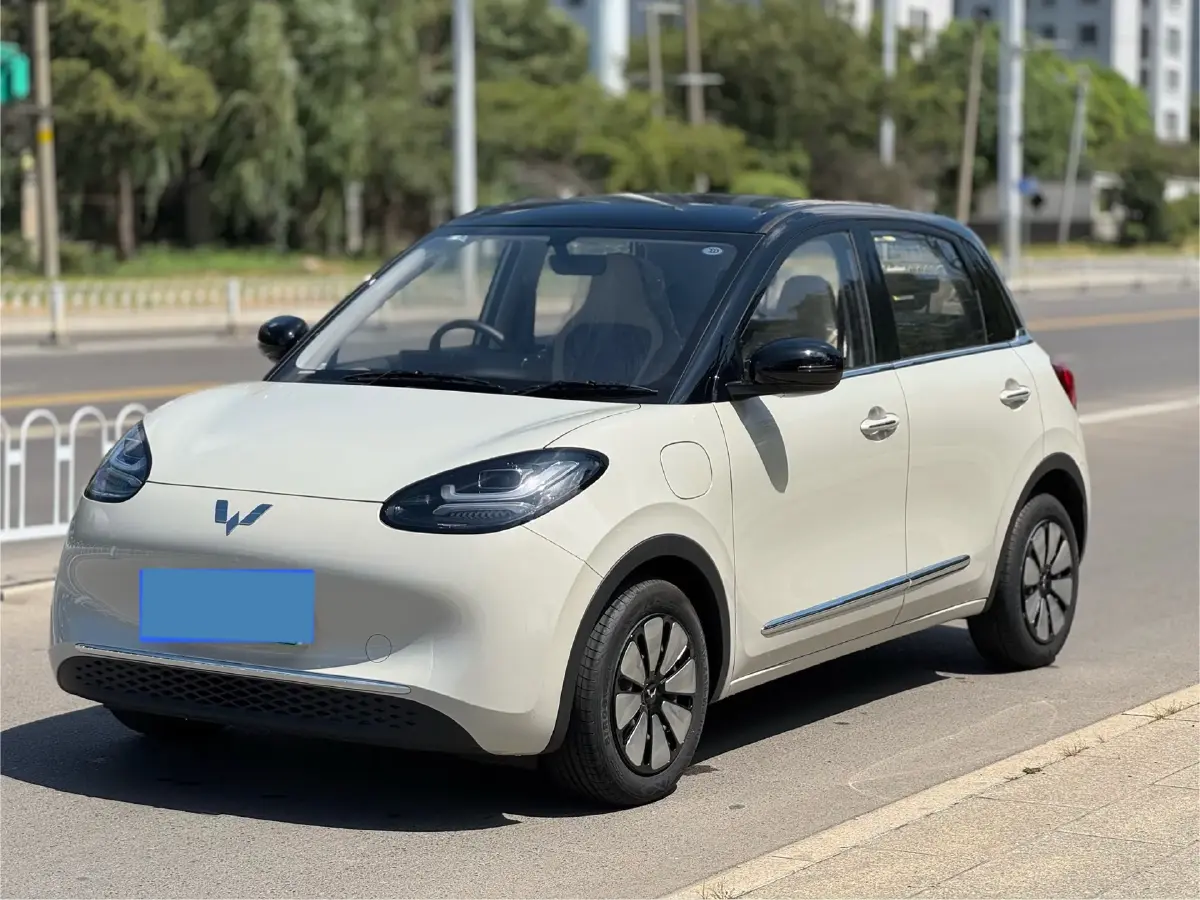 2024 WuLing BinGuo BEV 31.9KWH