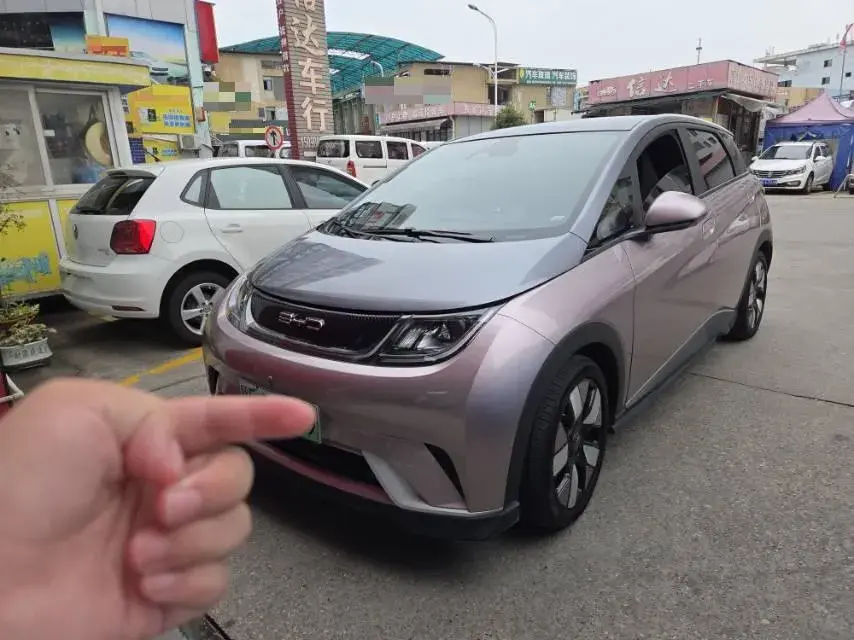 2021 BYD Dolphin BEV 44.9KWH