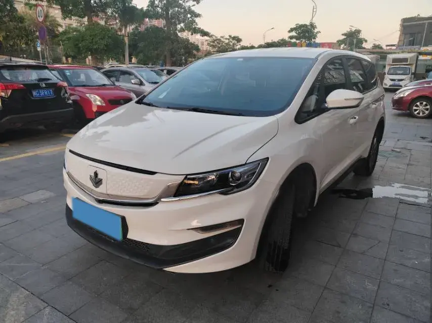 2021 Livan Maple 80v BEV 53KWH