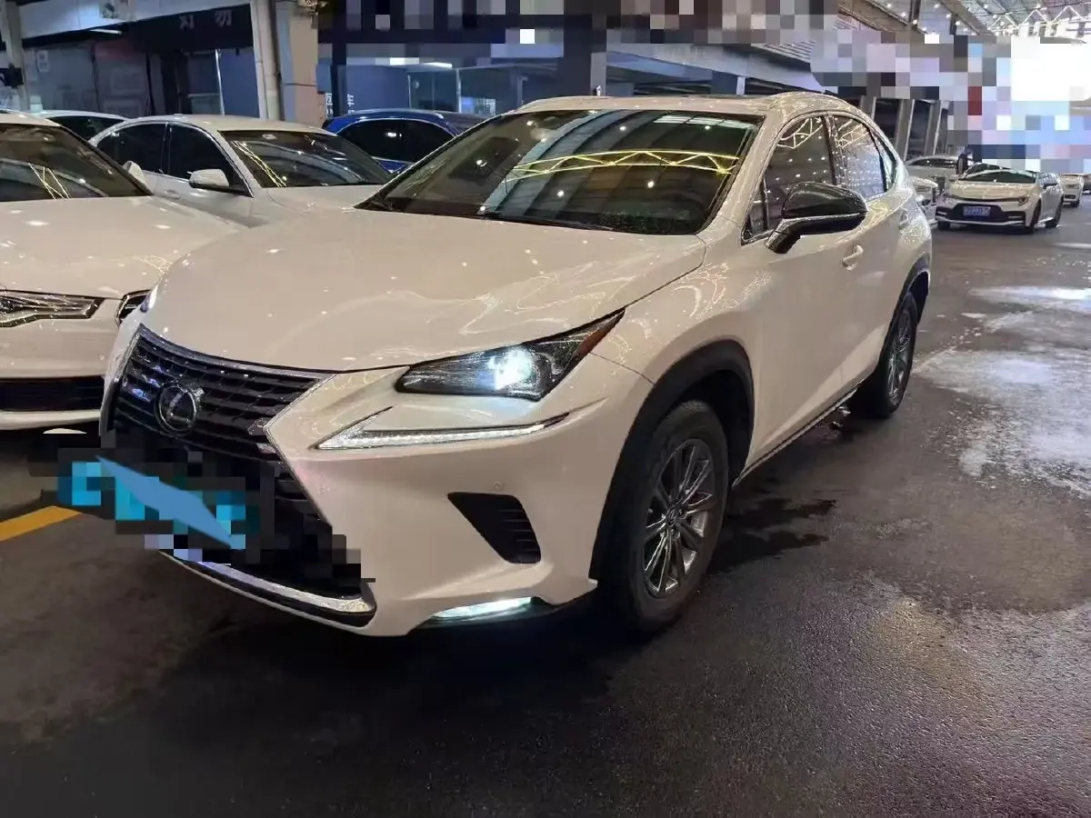 2020 Lexus NX 2.0T 238HP L4 6AT