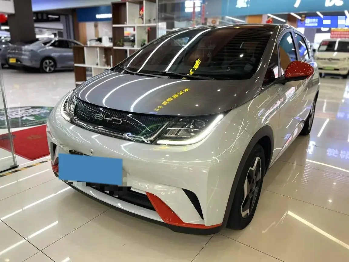 2021 BYD Dolphin BEV 44.9KWH