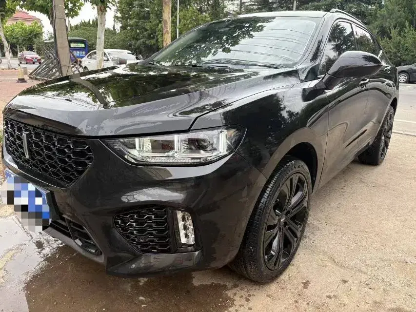 2017 WEY VV5 2.0T 197HP L4 7DCT