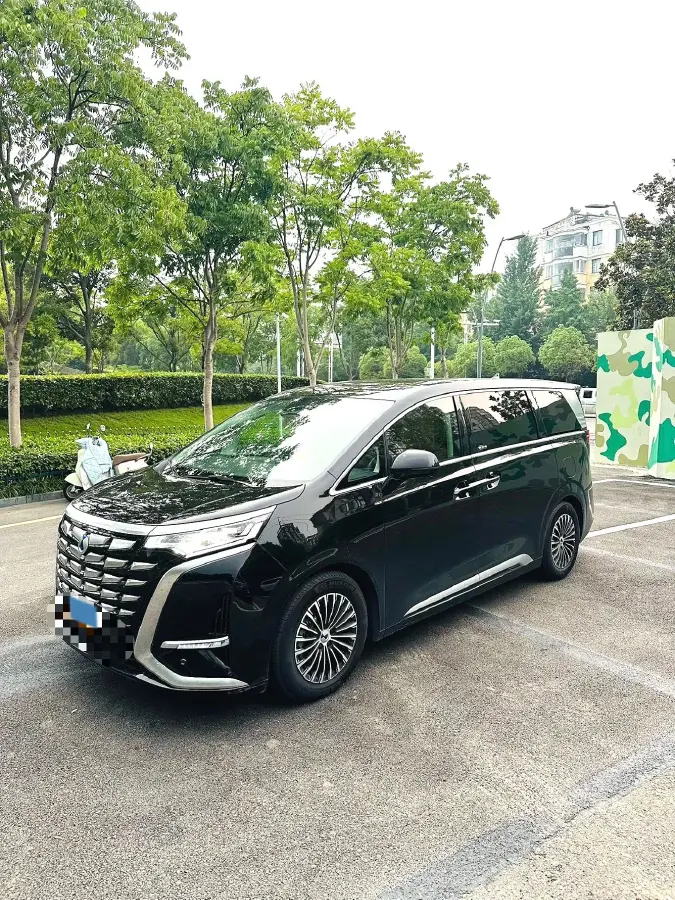 2024 Denza D9 1.5T 139HP L4 E-CVT PHEV 20.39KWH