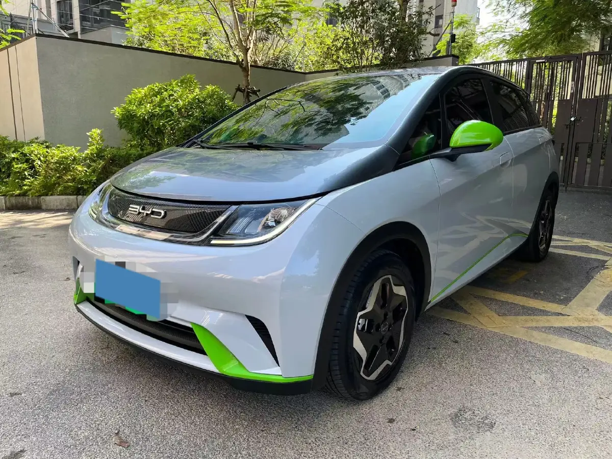 2021 BYD Dolphin BEV 44.9KWH