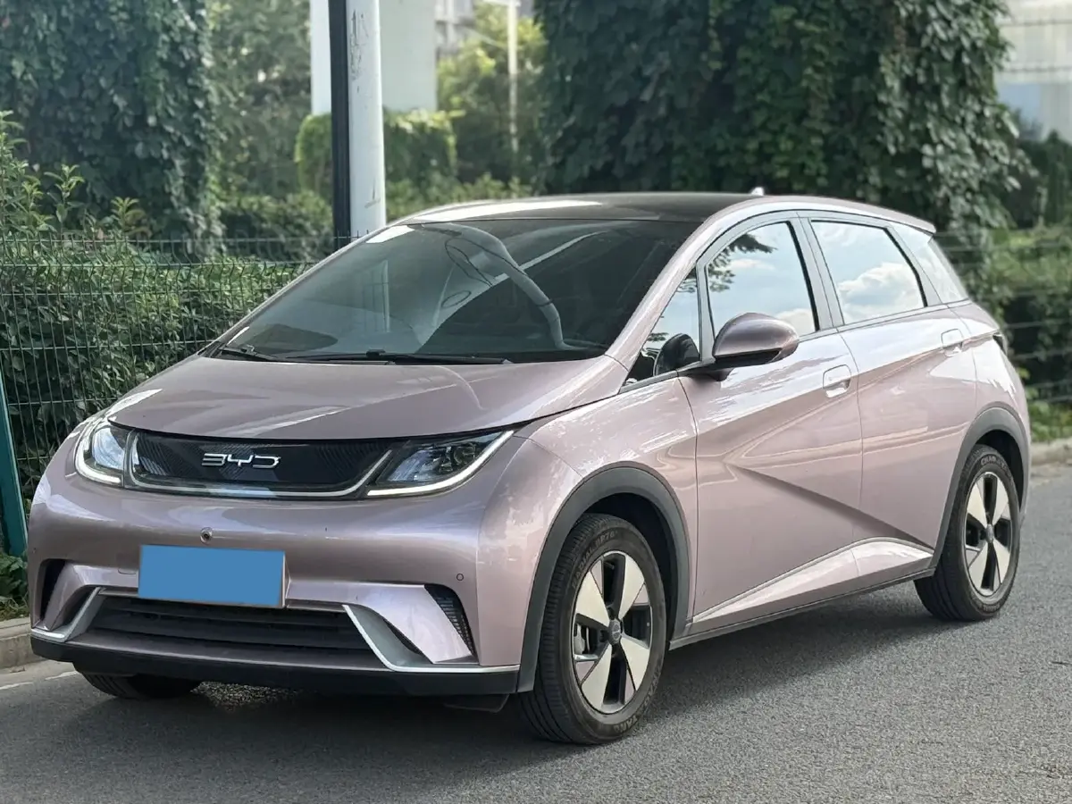 2021 BYD Dolphin BEV 44.9KWH