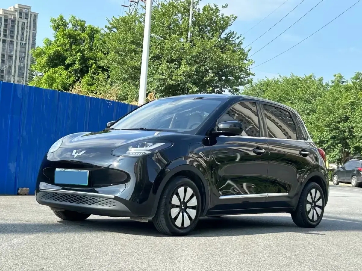 2023 WuLing BinGuo BEV 31.9KWH