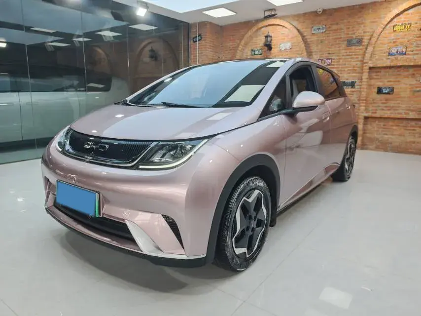 2021 BYD Dolphin BEV 44.9KWH