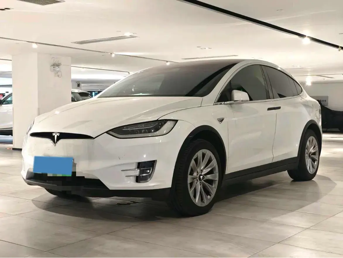 2019 Tesla Model X BEV 100KWH