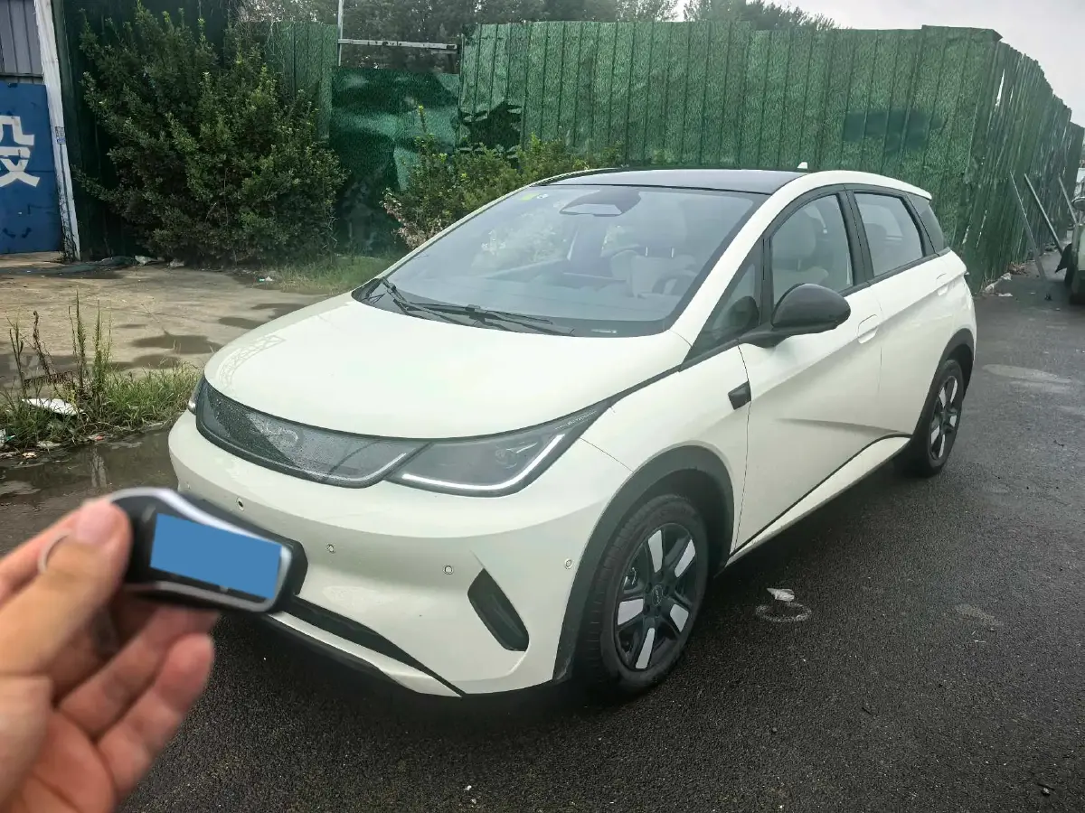 2025 BYD Dolphin BEV 45.12KWH