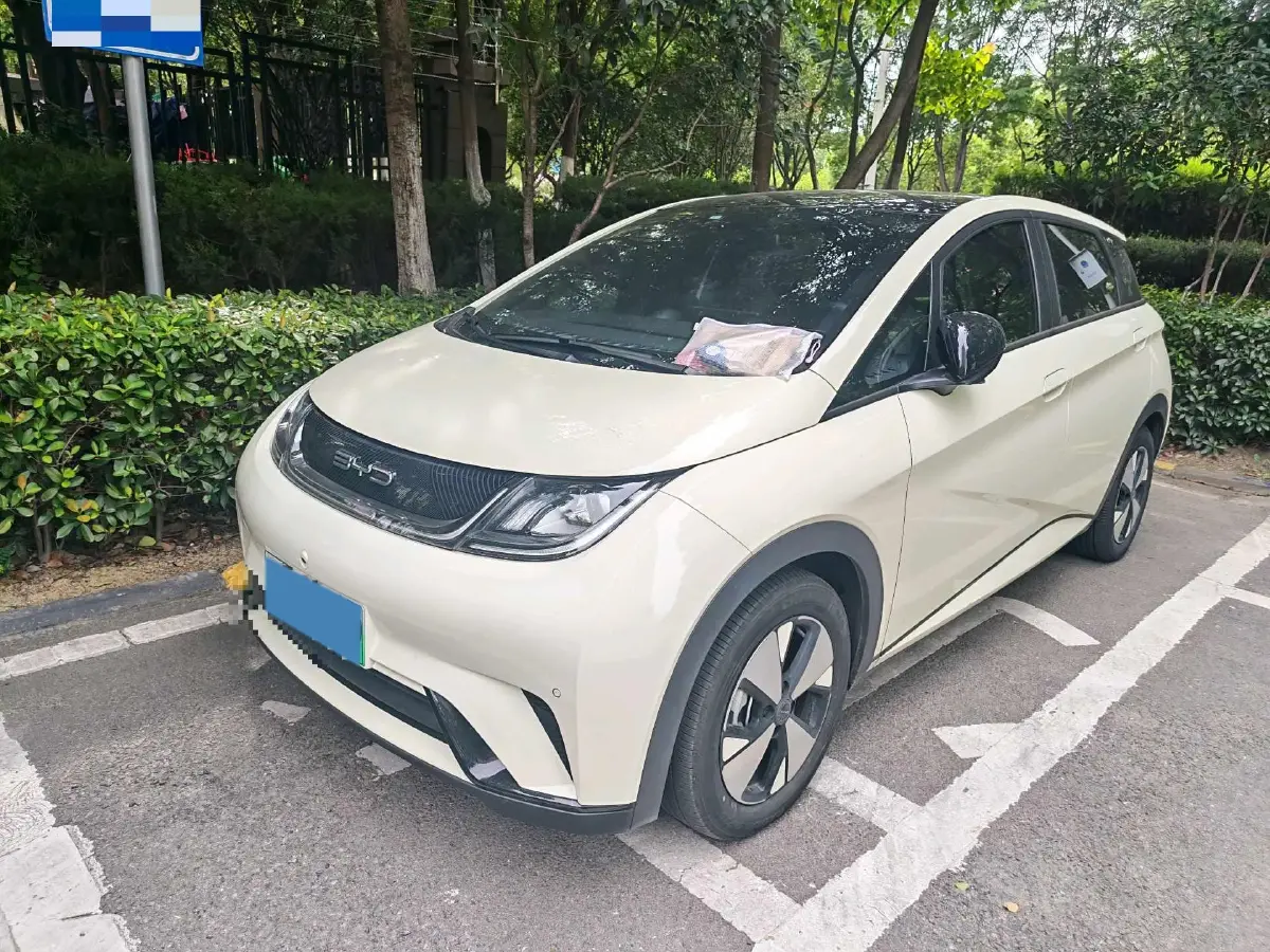 2023 BYD Dolphin BEV 44.928KWH