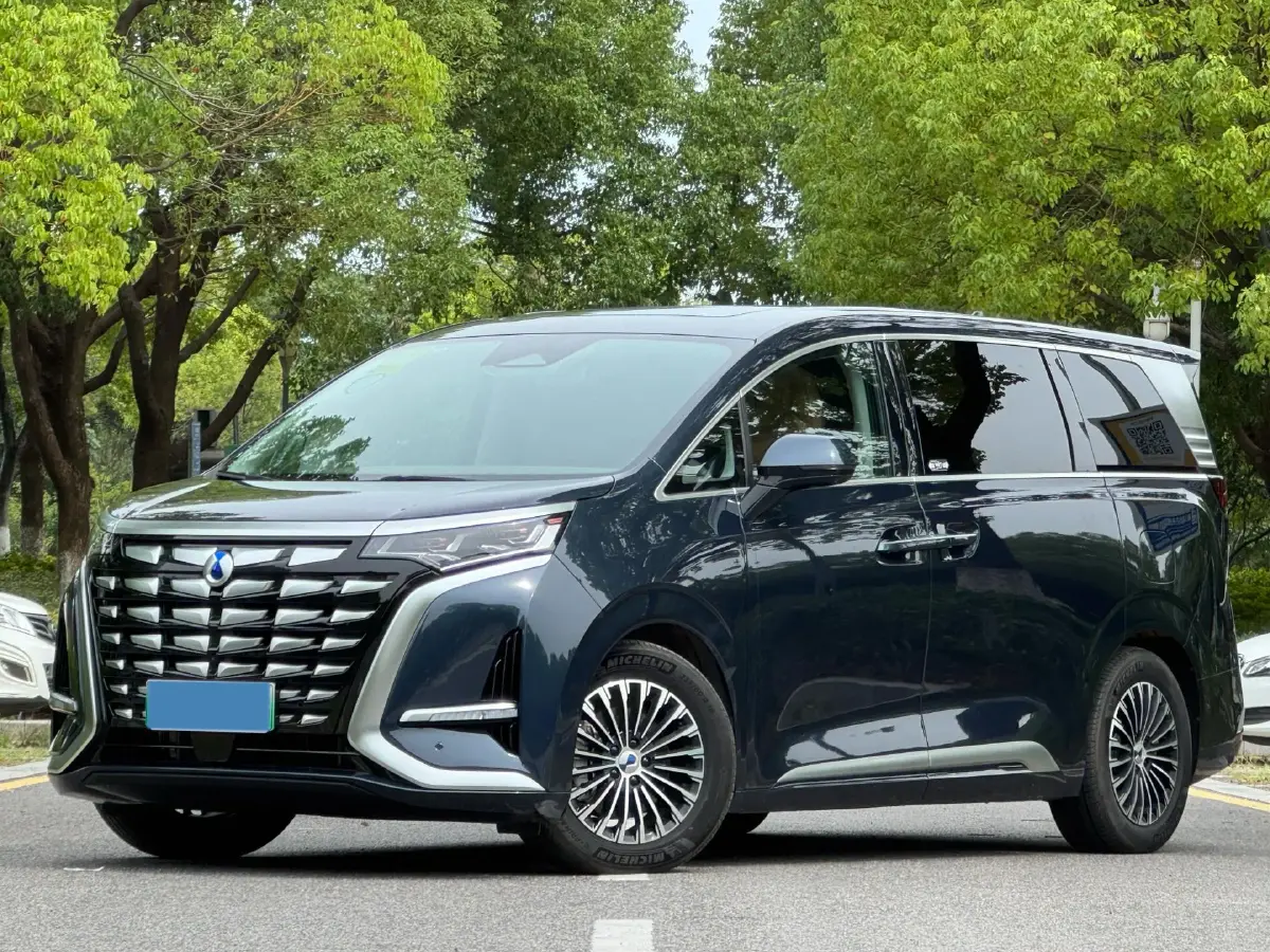 2022 Denza D9 1.5T 139HP L4 E-CVT PHEV 40.06KWH