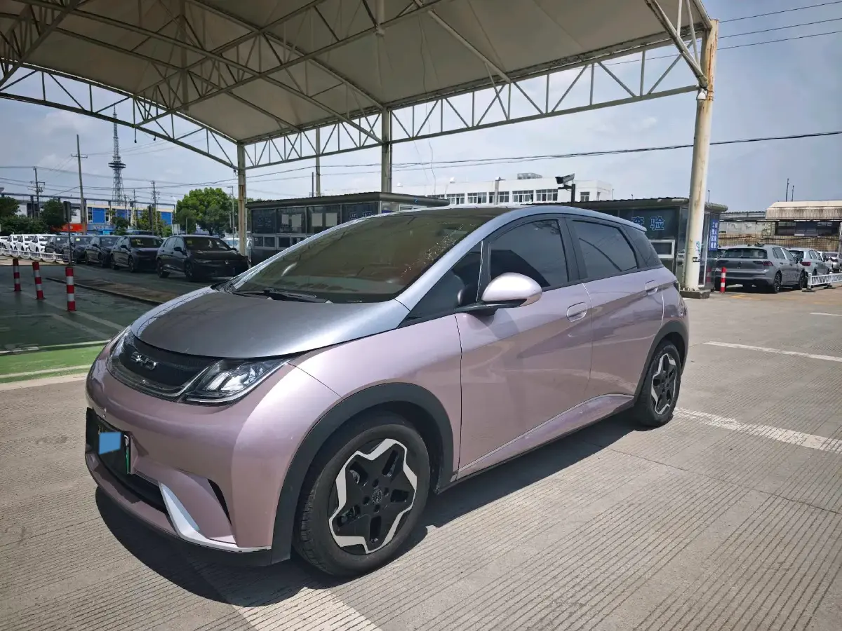 2021 BYD Dolphin BEV 44.9KWH