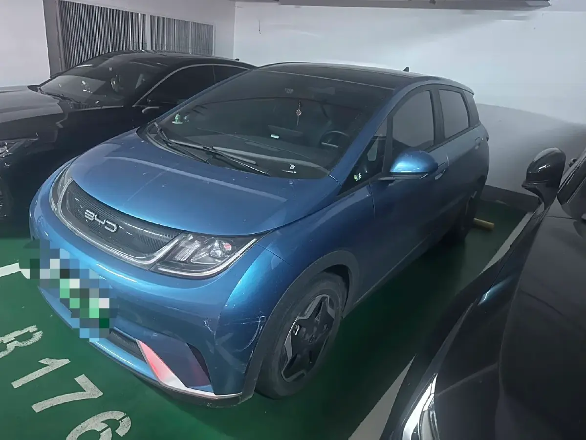 2021 BYD Dolphin BEV 44.9KWH