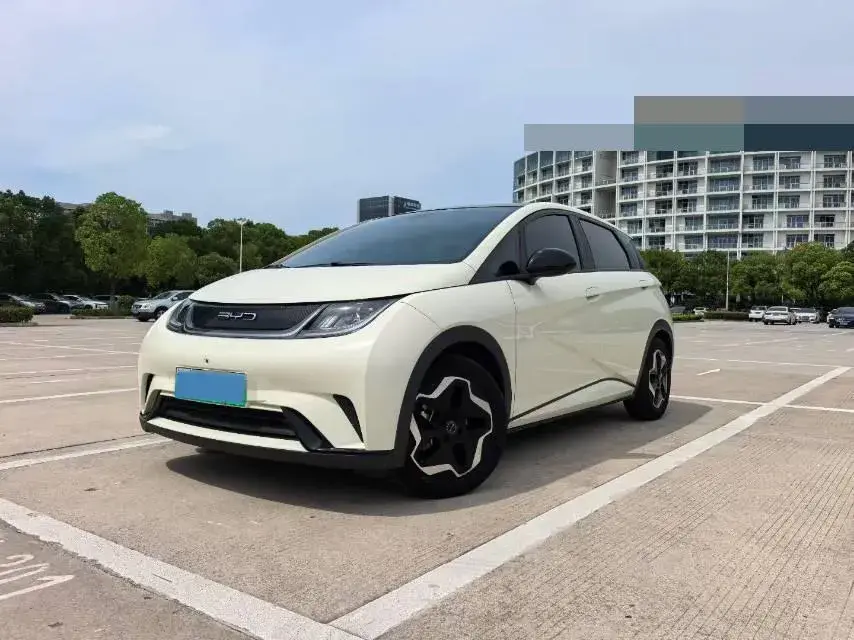 2021 BYD Dolphin BEV 44.9KWH