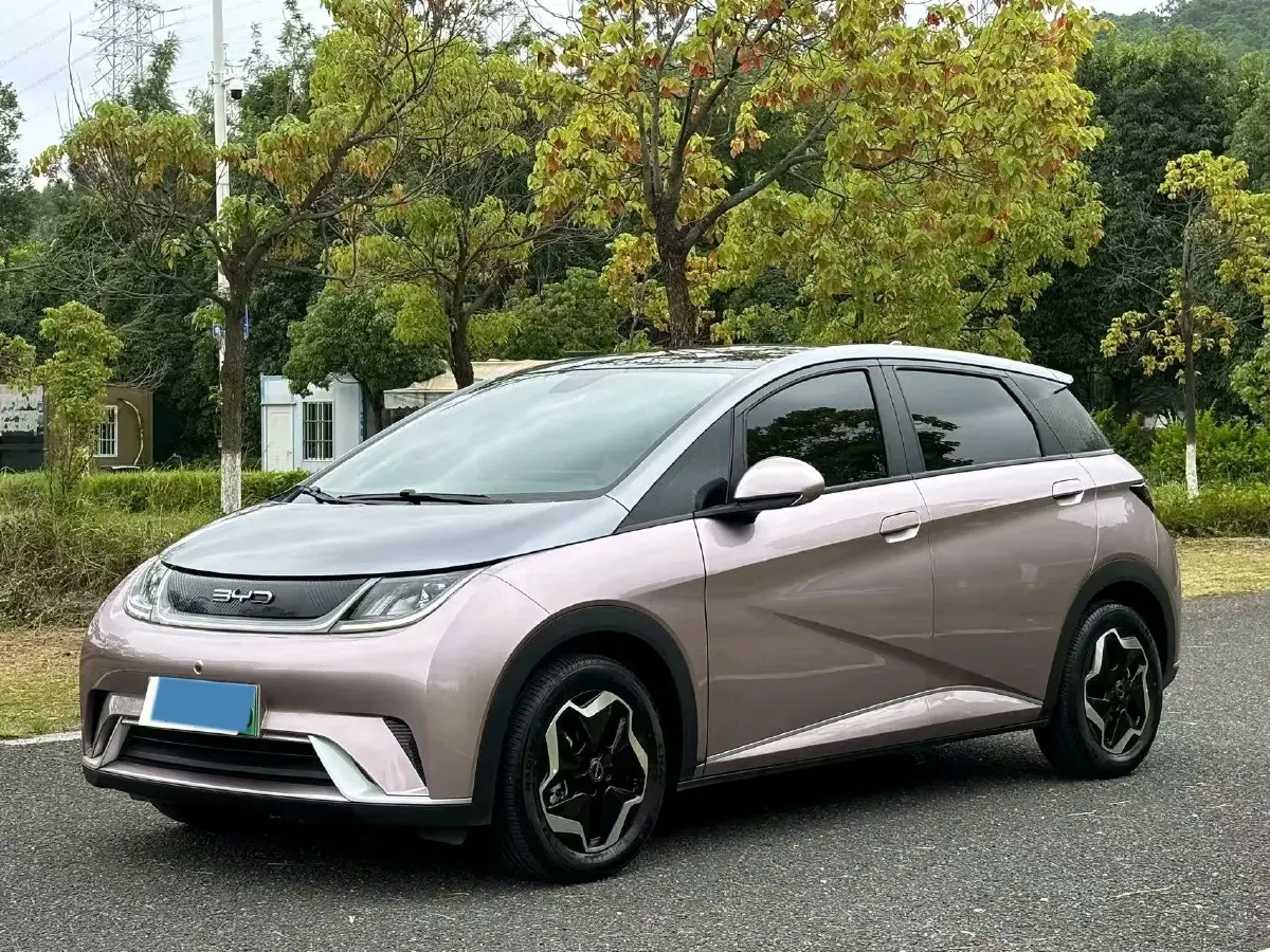 2021 BYD Dolphin BEV 44.9KWH