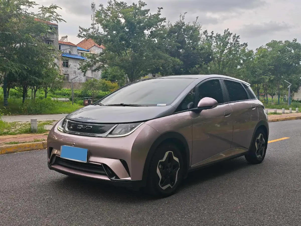 2021 BYD Dolphin BEV 44.9KWH