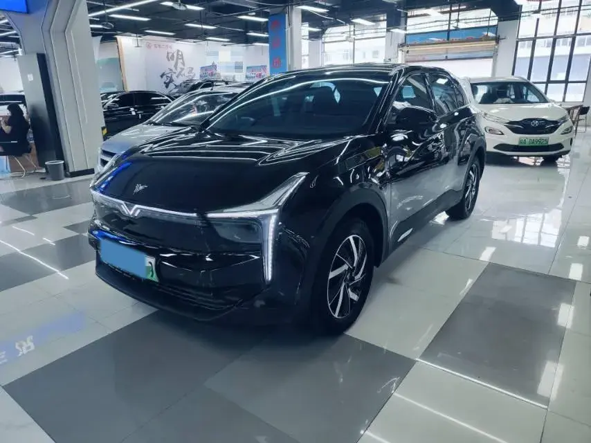 2021 Neta U BEV 54.34KWH