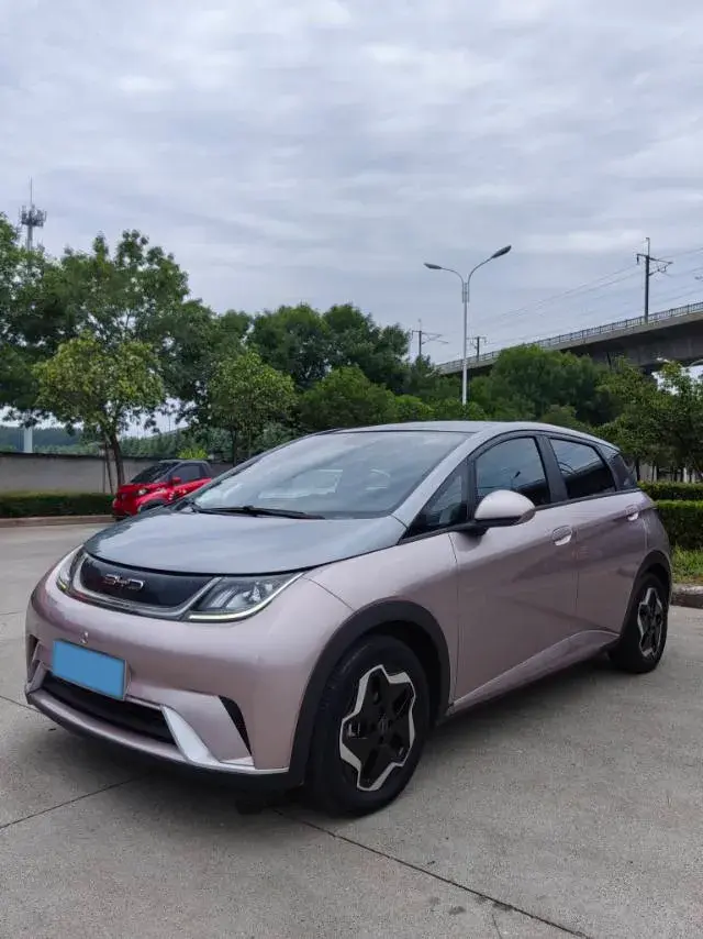 2021 BYD Dolphin BEV 44.9KWH
