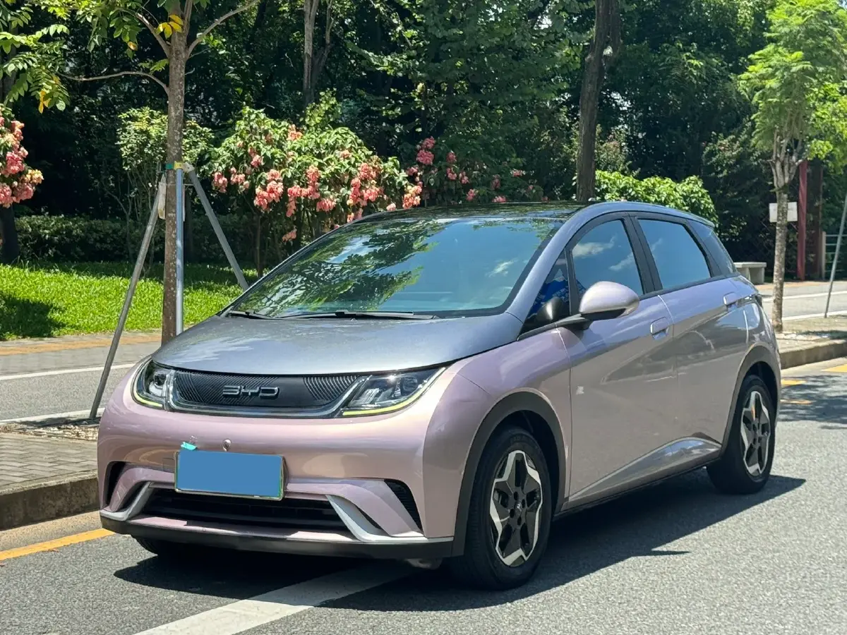 2021 BYD Dolphin BEV 44.9KWH