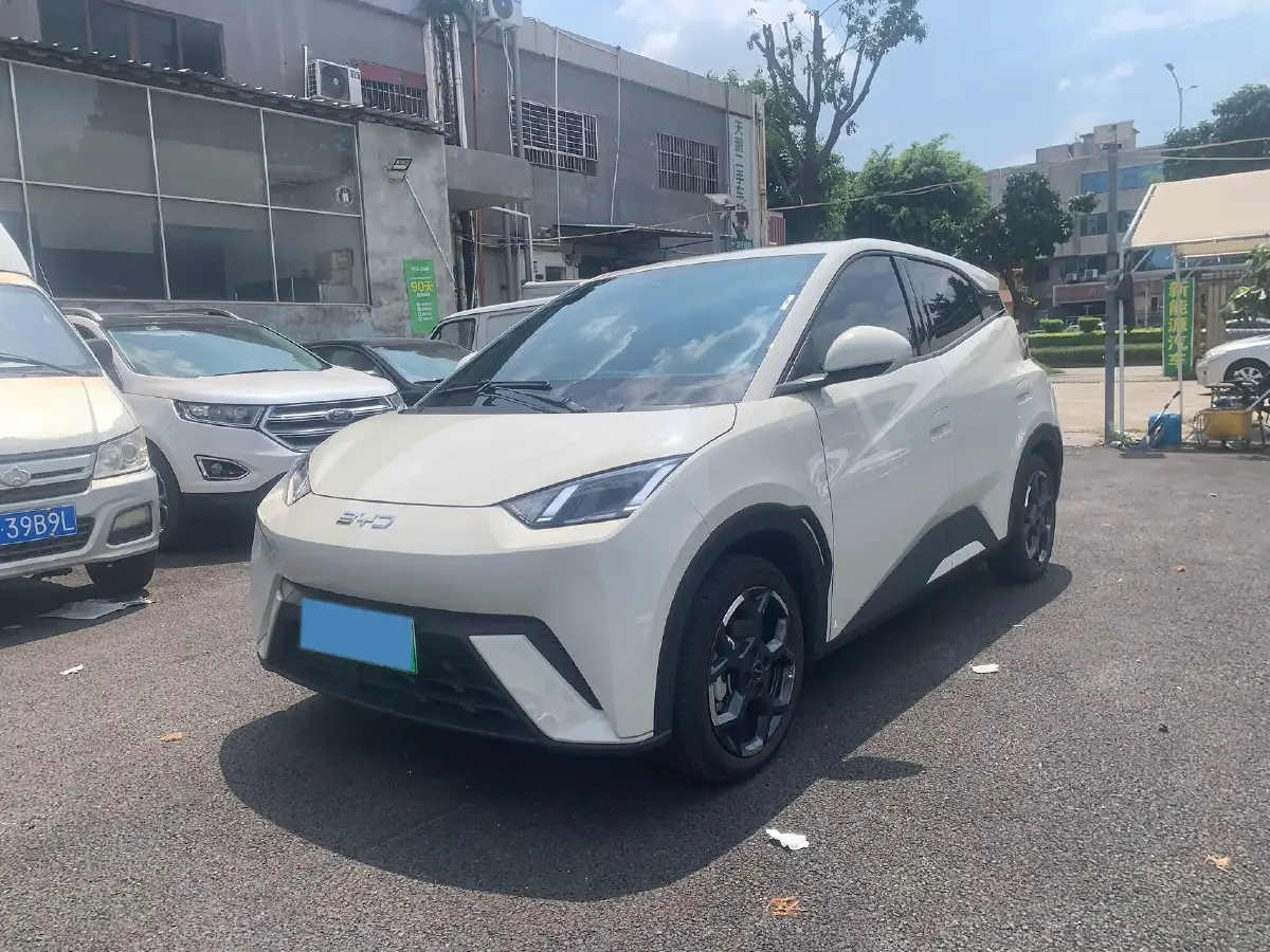 2024 BYD Seagull BEV 30.08KWH