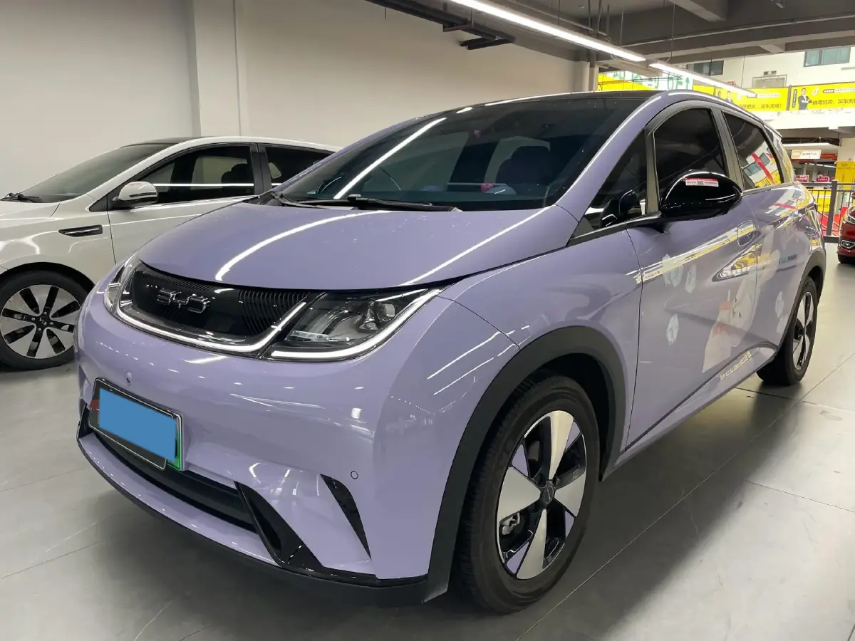 2023 BYD Dolphin BEV 44.928KWH