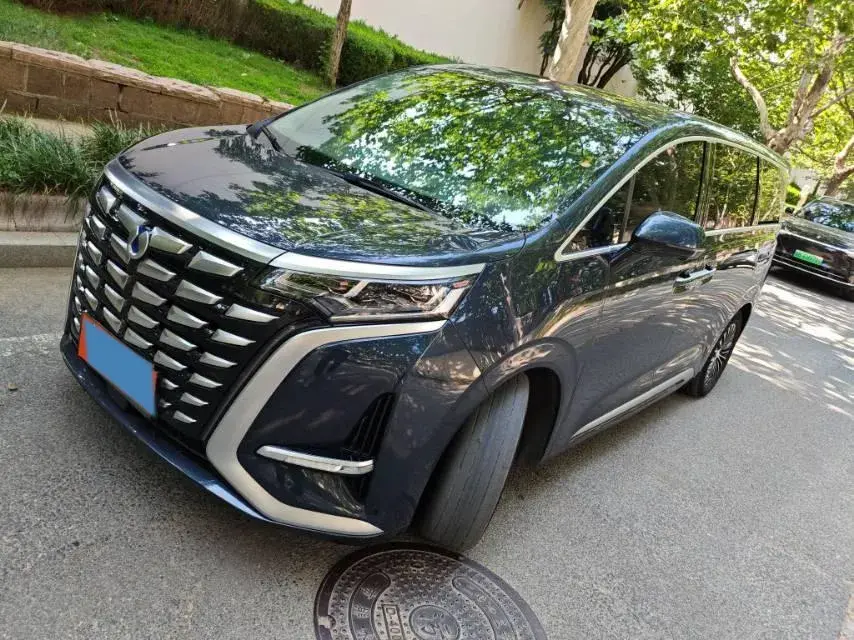 2022 Denza D9 1.5T 139HP L4 E-CVT PHEV 40.06KWH