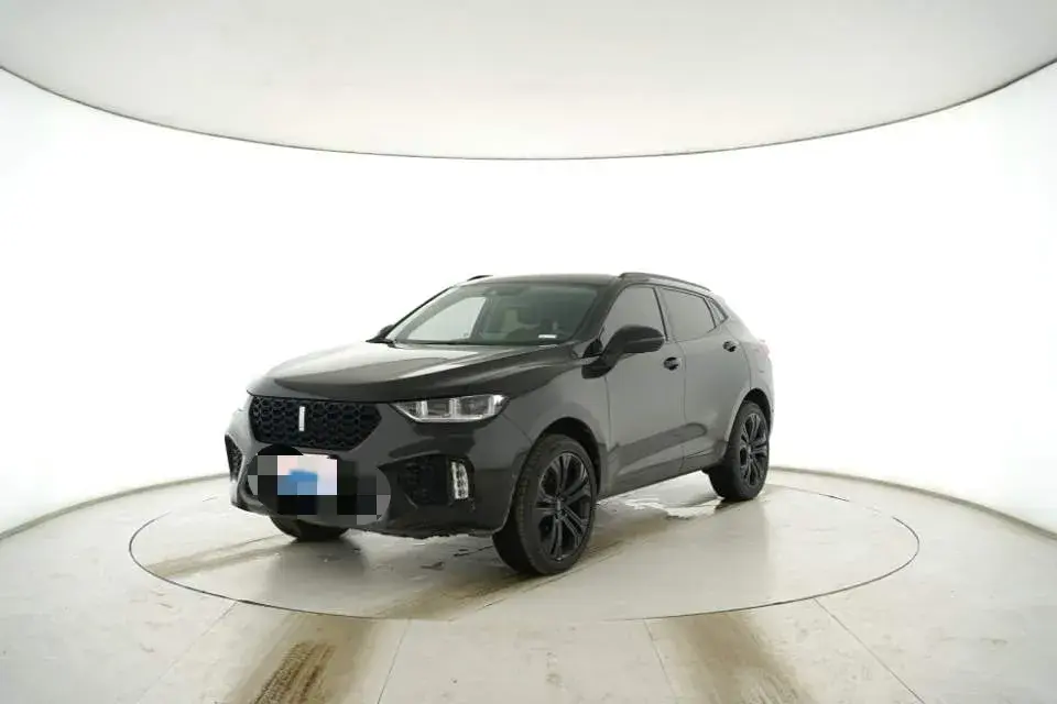 2019 WEY VV5 2.0T 197HP L4 7DCT