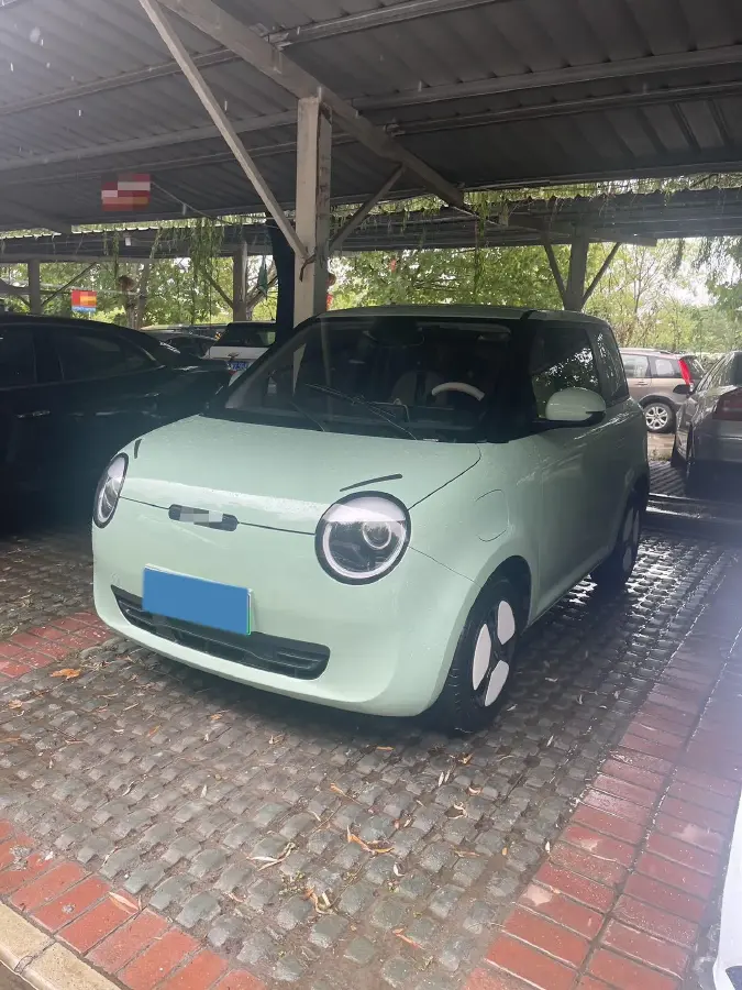 2022 ChangAn QiYuan Lumin BEV 12.92KWH