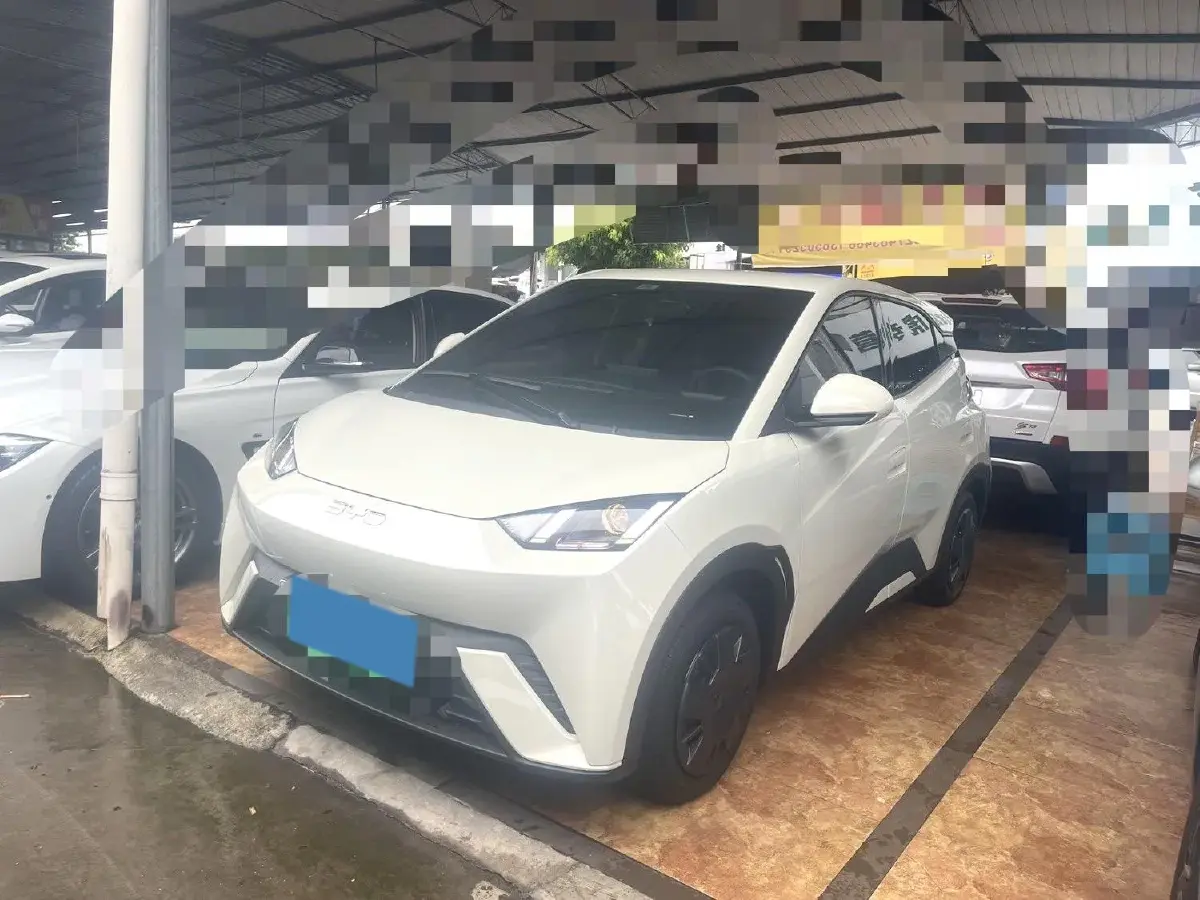2025 BYD Seagull BEV 30.08KWH