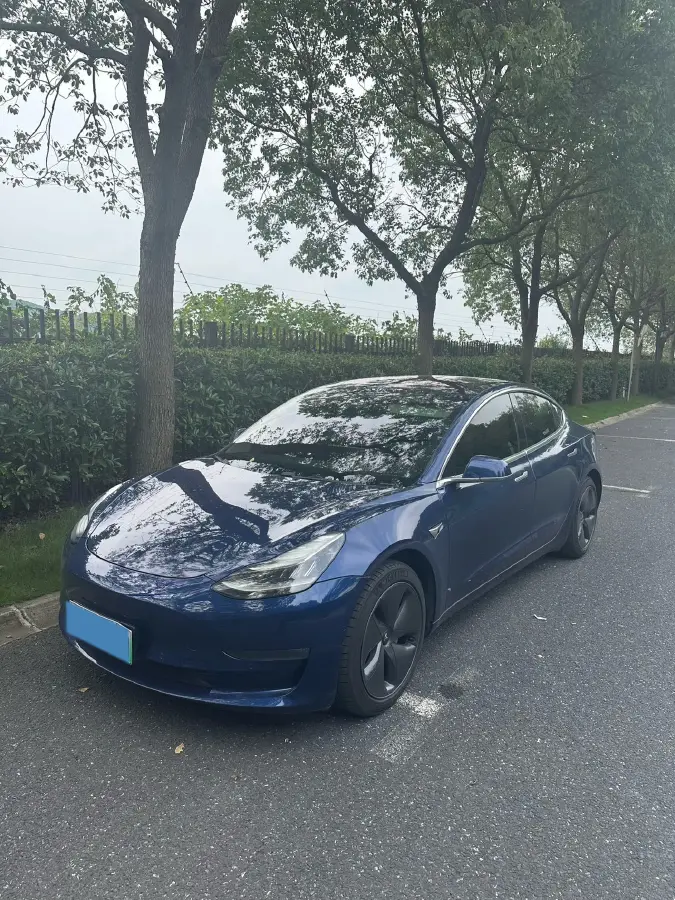 2019 Tesla Model 3 BEV 60KWH