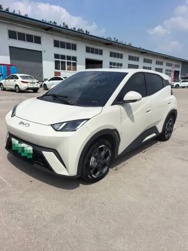 2024 BYD Seagull BEV 30.08KWH