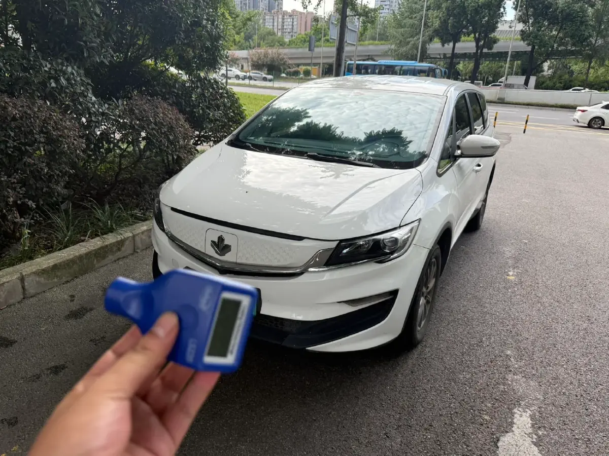 2021 Livan Maple 80v BEV